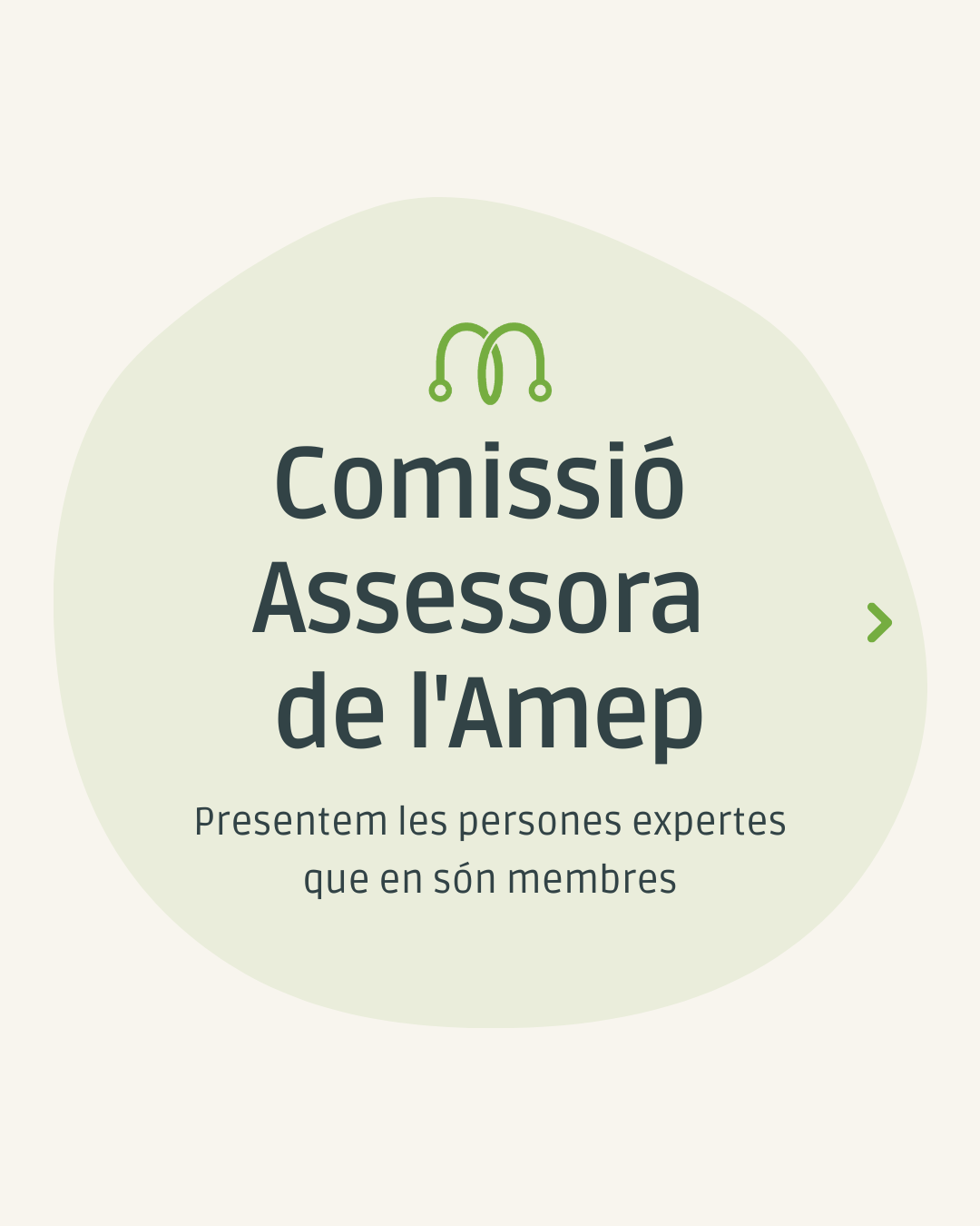Story Amep
